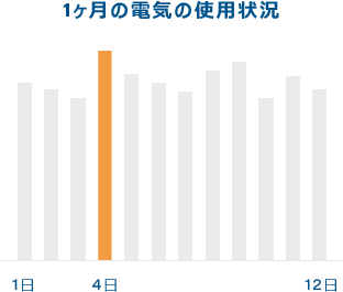 １ヶ月の電気の使用状況