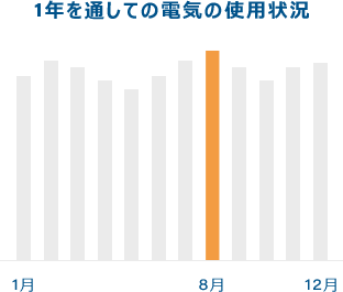 １年を通しての電気の使用状況