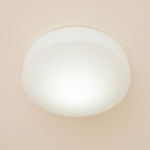 シーリングライト