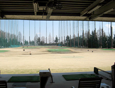 jireiimg_pinewood08