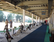 jireiimg_pinewood10